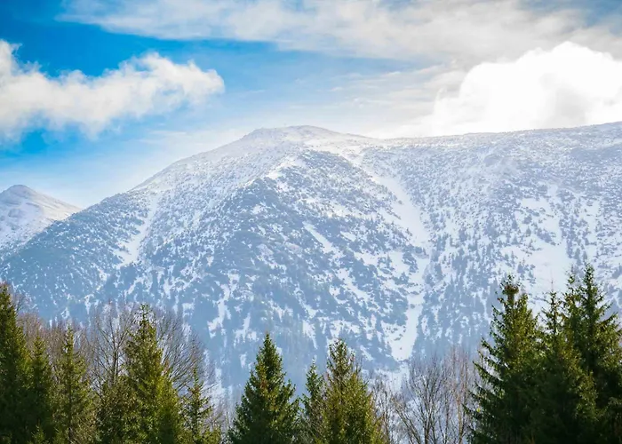 四季公寓 公寓 *